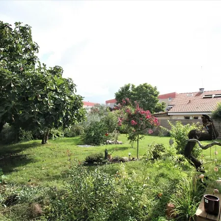 Pau, 4 Pièces, 5 Personnes - Fr-1-384-783 Pau